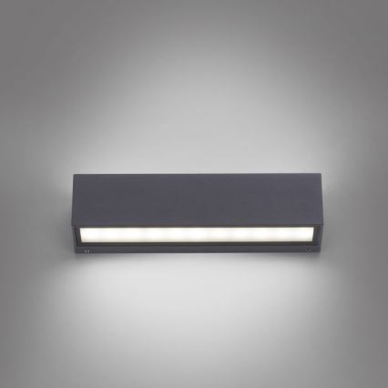 Paul Neuhaus 9675-13 - LED Väli seinavalgusti ROBERT 2xLED/9W/230V IP65