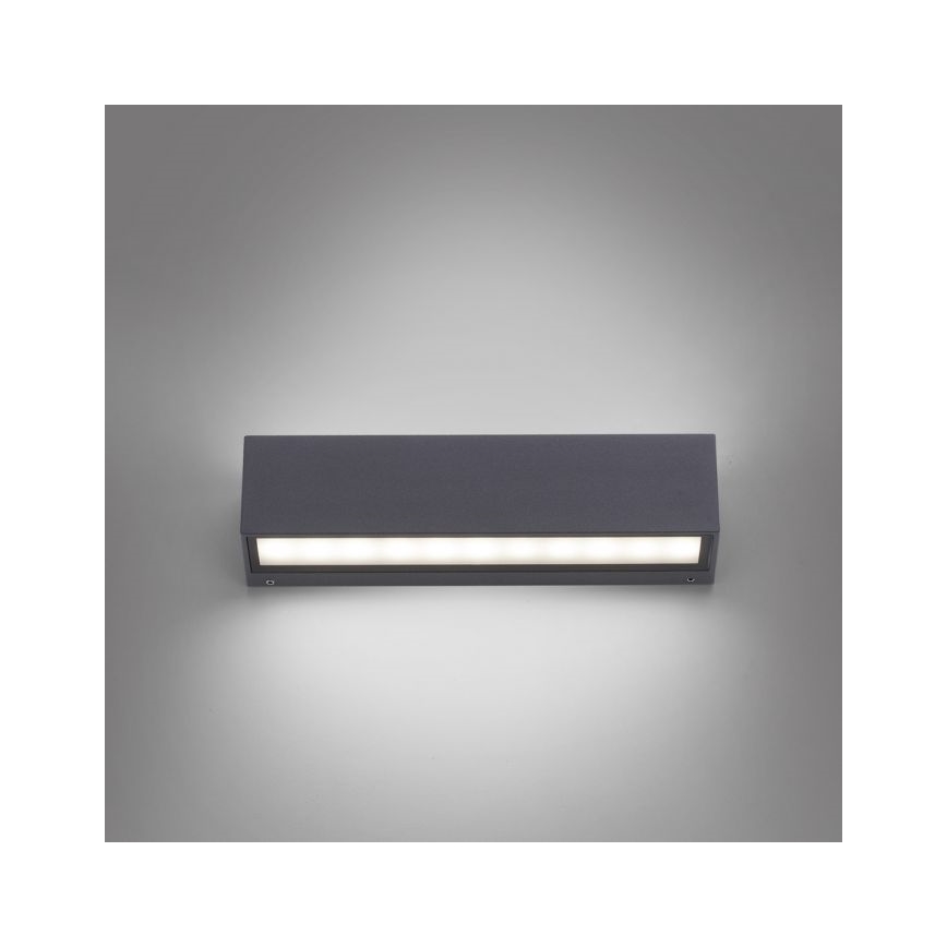 Paul Neuhaus 9675-13 - LED Väli seinavalgusti ROBERT 2xLED/9W/230V IP65