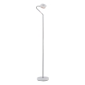 Paulmann 70920 - LED/7,5W Hämardatav põrandalamp RAMOS 230V valge/läikiv kroom