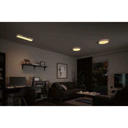 Paulmann 71003 - LED/22W Hämardatav valguspaneel ATRIA 230V 3000K 20x58 cm must