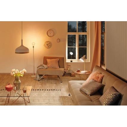 Paulmann 79615 - 1xE27/20W Lambi statiiv NORDIN 230V