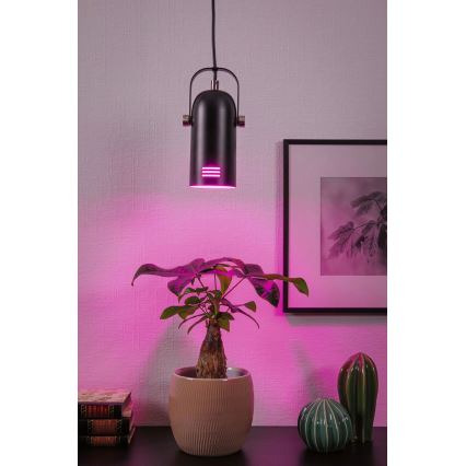Paulmann 79766 - 1xE27/15W rippvalgusti kaabliga LAVEA 230V must
