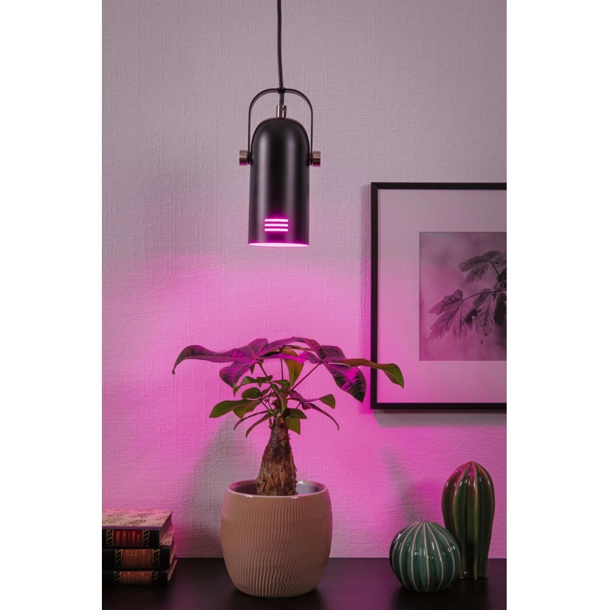 Paulmann 79766 - LED RGBW 1xE27/9W rippvalgusti kaabliga LAVEA 230V must