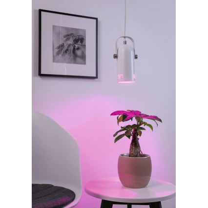Paulmann 79767 - LAVEA ripplamp kaabliga 1xE27/15W 230V valge