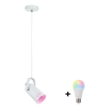 Paulmann 79767 - LED RGBW 1xE27/9W rippvalgusti riputuskaabliga LAVEA 230V valge