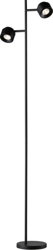 Paulmann 79775 - 2xLED/3W Hämardatav põrandalamp PURIK PANE 230V