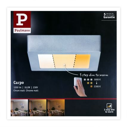 Paulmann 79791 - LED/10,2W Laevalgusti CARPO 230V 2300-3000K