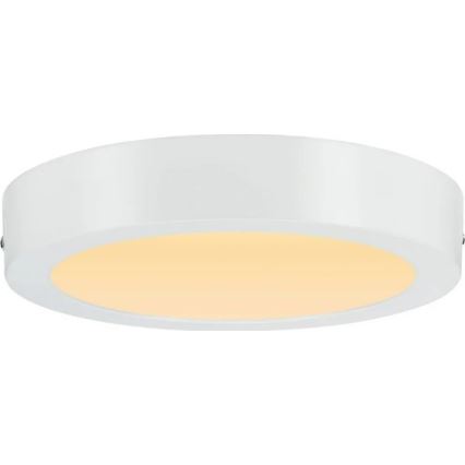 Paulmann 79795 - LED/13W Laevalgusti CARPO 230V 2300/2500/3000K