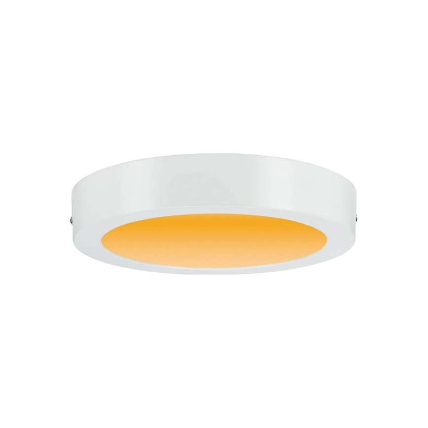 Paulmann 79795 - LED/13W Laevalgusti CARPO 230V 2300/2500/3000K