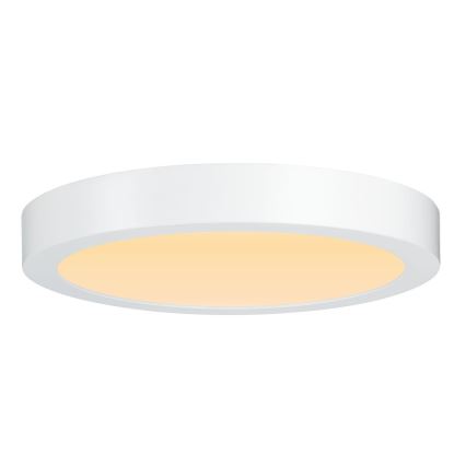 Paulmann 79799 - LED/19W Laevalgusti CARPO 230V 2300/2500/3000K