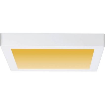 Paulmann 79801 - LED/13W Laevalgusti CARPO 230V 2300/2500/3000K