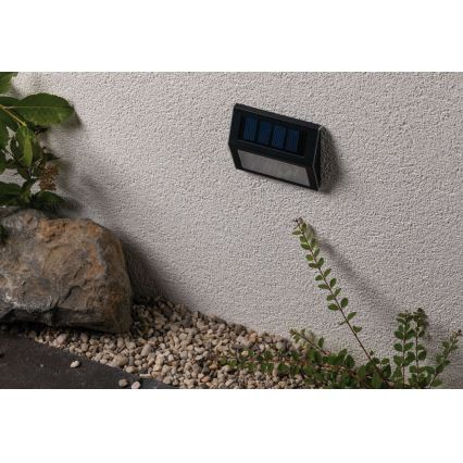 Paulmann 94234 - LED/0,05W IP44 Väli päikesepaneeliga valgusti anduriga DAYTON 1,2V 400 mAh