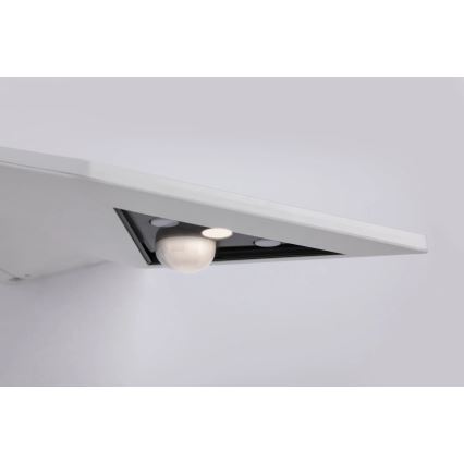 Paulmann 94244 - LED/1,2 W IP44 päikesepaneeliga seinavalgusti anduriga YOKO 3,7 V 1800 mAh valge