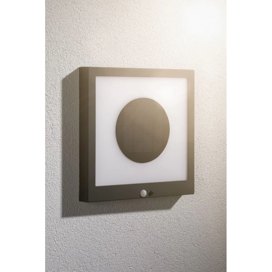 Paulmann 94263 - LED/1,2W IP44 Päikesepaneeliga seinavalgusti koos anduriga TAIJA 3,7V 1800 mAh