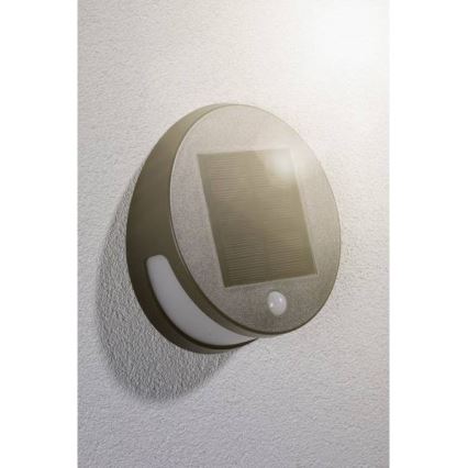 Paulmann 94265 - LED/3W IP44 Väli päikesepaneeliga valgusti anduriga HELENA 3,7V 1800 mAh