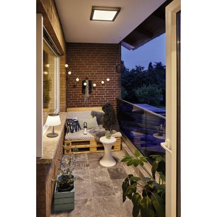 Paulmann 94309 - LED/0,8W IP44 Hämardatav päikesepaneeliga lamp LILLESOL 3,7V 2000 mAh