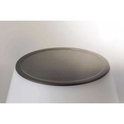 Paulmann 94309 - LED/0,8W IP44 Hämardatav päikesepaneeliga lamp LILLESOL 3,7V 2000 mAh