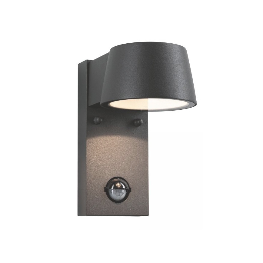 Paulmann 94453 - LED/6W IP44 Väli seinavalgusti koos anduriga CAPEA 230V