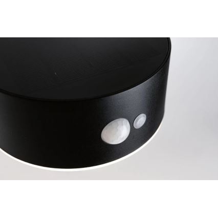 Paulmann 94570 - LED/5,5W IP44 Päikesepaneeliga seinavalgusti koos anduriga EILEEN 3,7V 2000 mAh