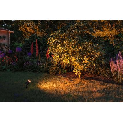 Paulmann 94731 - LED/4,3W IP65 Välivalgusti SPOT 230V