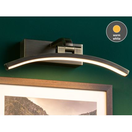 Paulmann 95559 - LED/6W Pildivalgusti BENTO 230V 30 cm messing