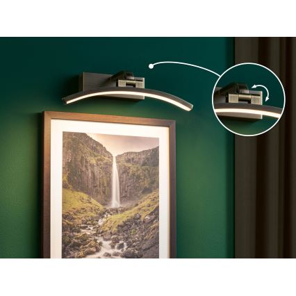 Paulmann 95559 - LED/6W Pildivalgusti BENTO 230V 30 cm messing