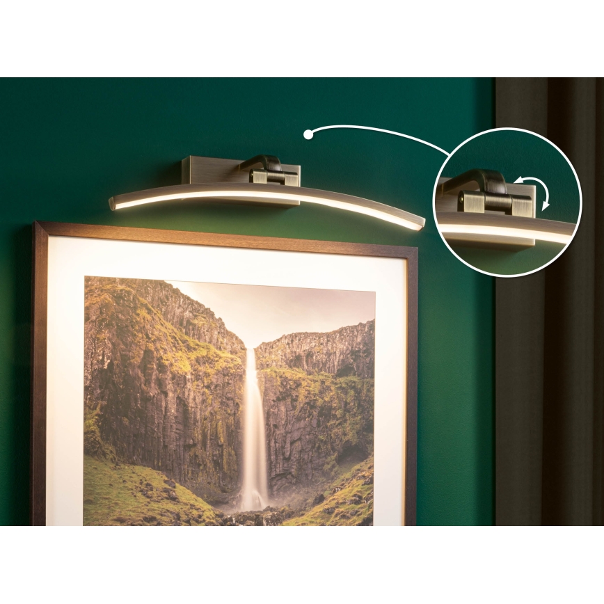 Paulmann 95560 - LED/8,5 W pildivalgusti BENTO 230 V 40 cm messing