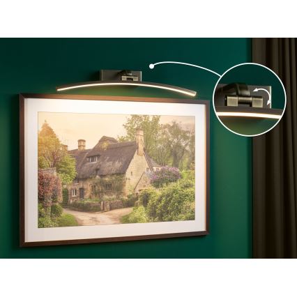 Paulmann 95561 - LED/10W Pildivalgusti BENTO 230V 50 cm messing