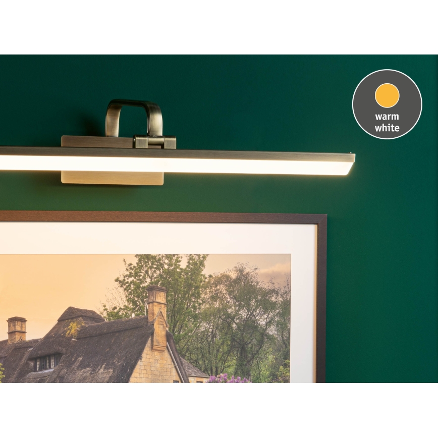 Paulmann 95570 - LED/11W pildivalgusti RENAN 230V 60 cm messing