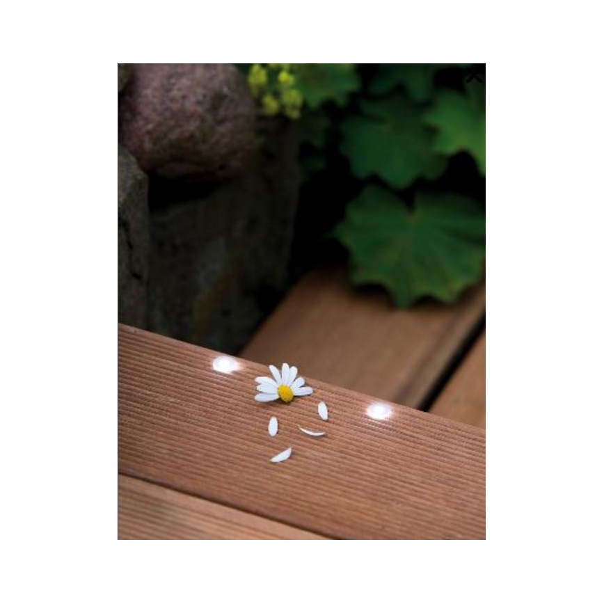 Paulmann 98892 - PIKENDUSKOMPLEKT 5X LED/0,16W IP67 Süvistatav välivalgusti MICRO 12V