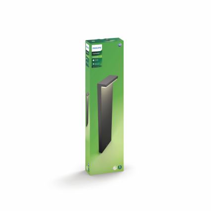 Philips - LED Välivalgusti 2xLED/4,5W/230V 2700K IP44