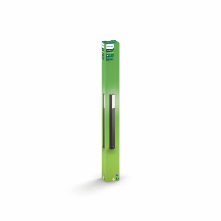Philips - Väli sammasvalgusti 2xLED/4,5W IP44