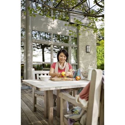 Philips 17249/42/16 - Väli seinavalgusti MYGARDEN NECTAR 1xE27/20W/230V IP44