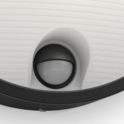 Philips - liikumisanduriga LED-välisseinavalgusti LED/6W/230V IP44