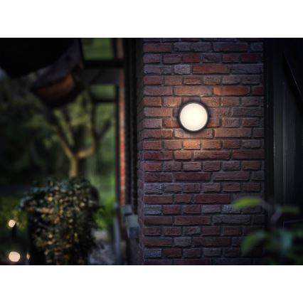 Philips - LED Välivalgusti 1xLED/3,5W IP44