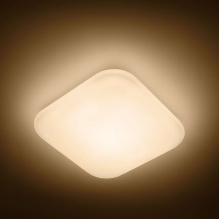 Philips - LED Laevalgusti 1xLED/17W/230V 2,700K