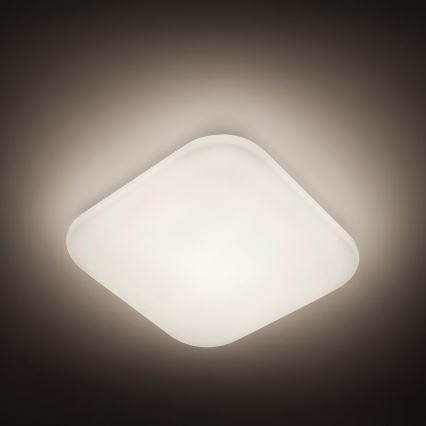 Philips - LED Laevalgusti 1xLED/17W/230V 4,000K