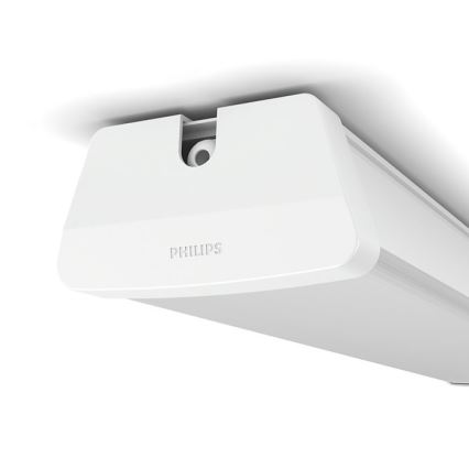 Philips 31248/31/P0 - LED Tehniline valgusti AQUALINE LED/24W/230V IP65