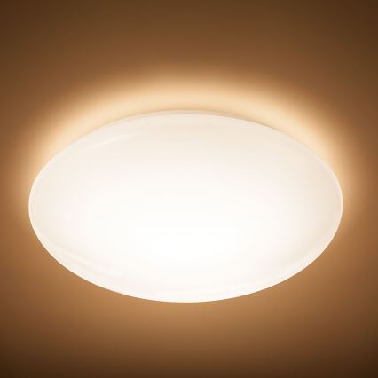 Philips - LED Laevalgusti LED/36W/230V