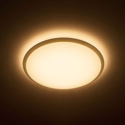 Philips - LED Laevalgusti 1xLED/17W/230V