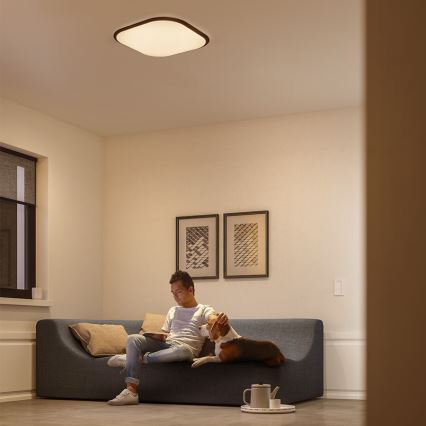 Philips - LED Hämardatav laevalgusti LED/18W/230V