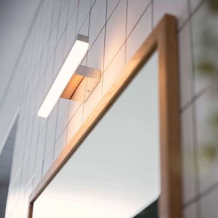 Philips 34341/11/P0 - LED Hämardatav vannitoavalgusti MYBATHROOM PLUNGE IP44