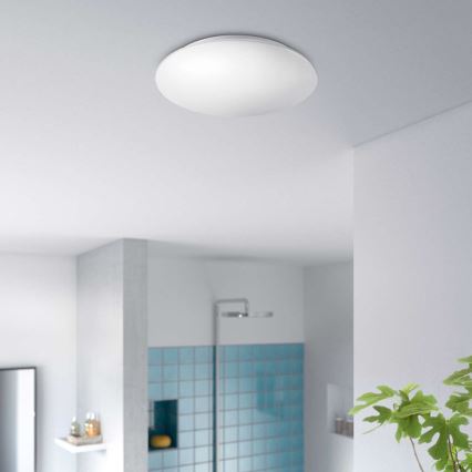 Philips - LED-valgusti vannituppa LED/16W/230V