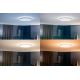 Philips - LED Hämardatav valgusti vannituppa Hue ADORE LED/40W/230V IP44