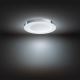 Philips - LED Hämardatav valgusti vannituppa Hue ADORE LED/40W/230V IP44