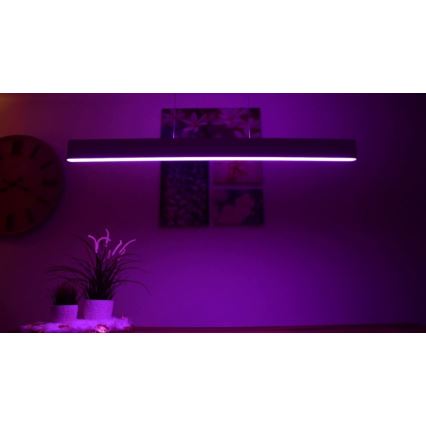 Philips – LED Lühter Hue ENSIS White And Colour Ambiance 2×LED/39W/230V