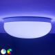 Philips - LED RGB Hämardatav laevalgusti Hue FLOURISH White And Color Ambiance LED/32W/230V