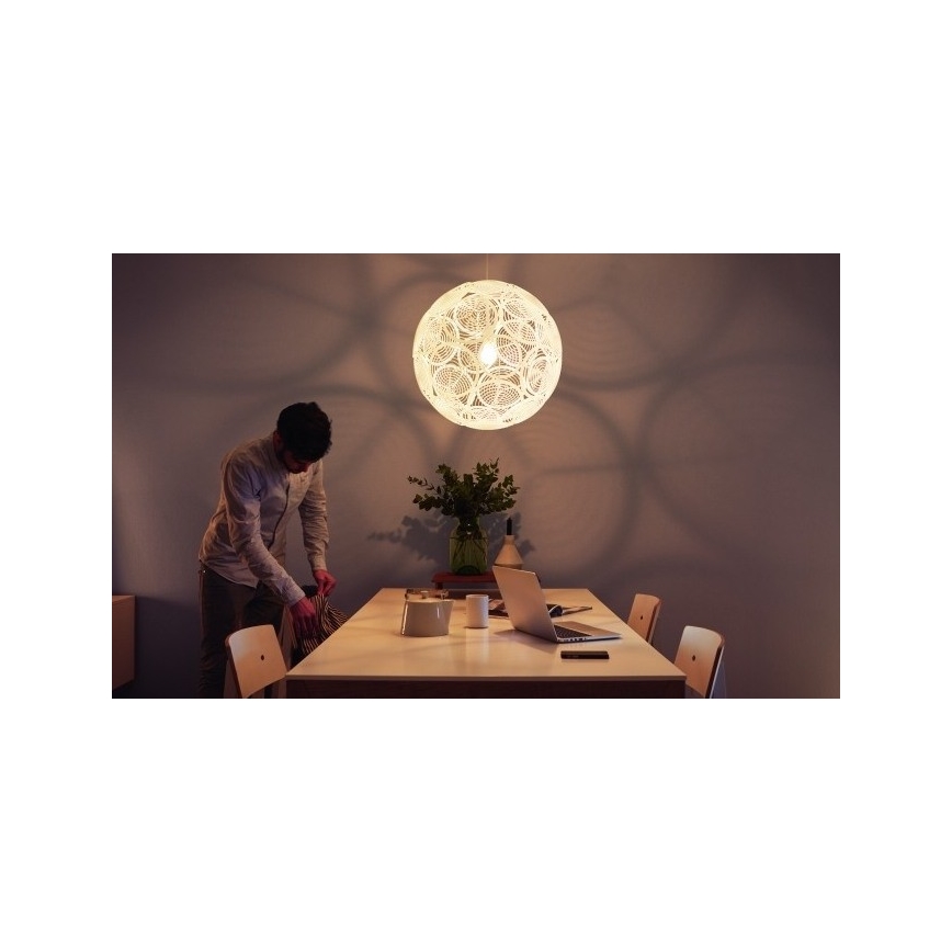 Philips - Rippvalgusti lakke E27/60W/230V