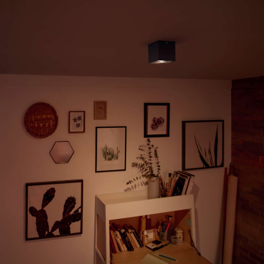 Philips - LED Hämardatav kohtvalgusti 1xLED/4,5W/230V