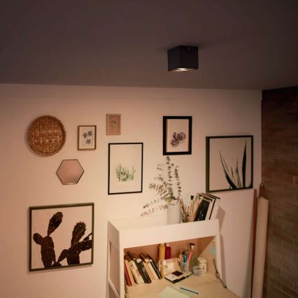 Philips - hämardatav LED-punktvalgusti LED/4,5W/230V